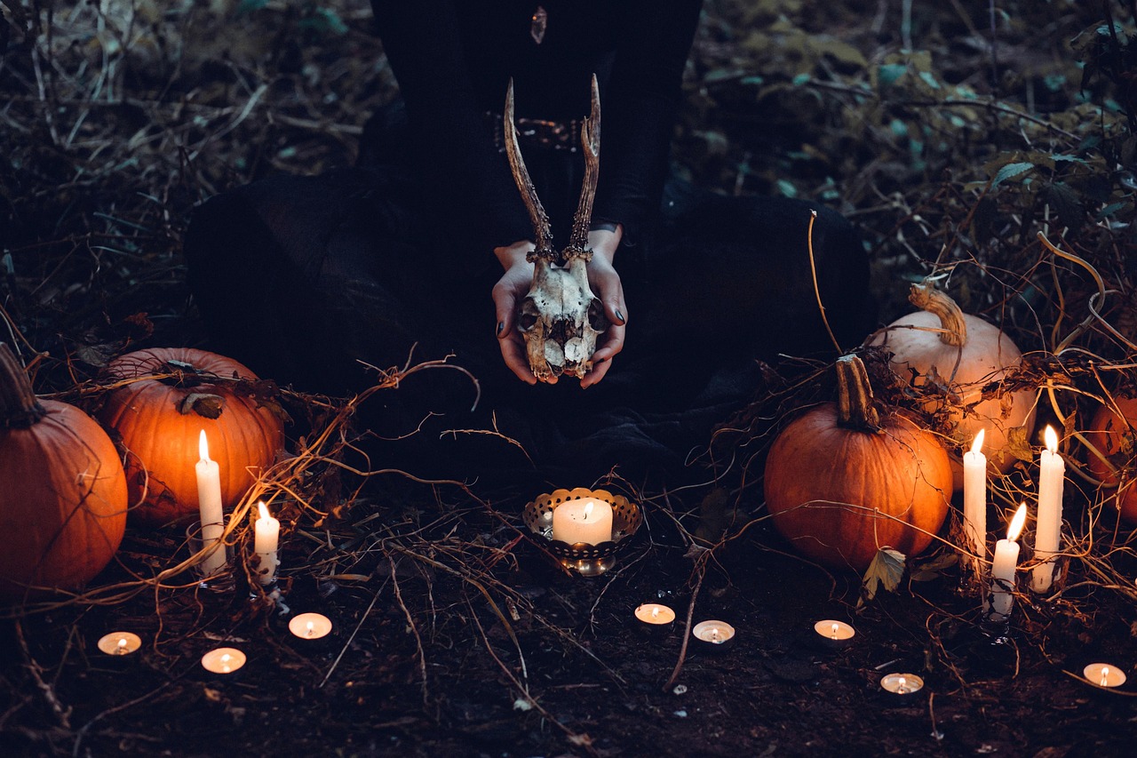 Services candles, pumpkins, witch, skull, candlelight, wicca, ceremony, occult, creepy, dark, eerie, halloween, hands, horror, person, scary, magic, witchcraft, happy halloween, witch, halloween, halloween, halloween, halloween, halloween, horror, horror